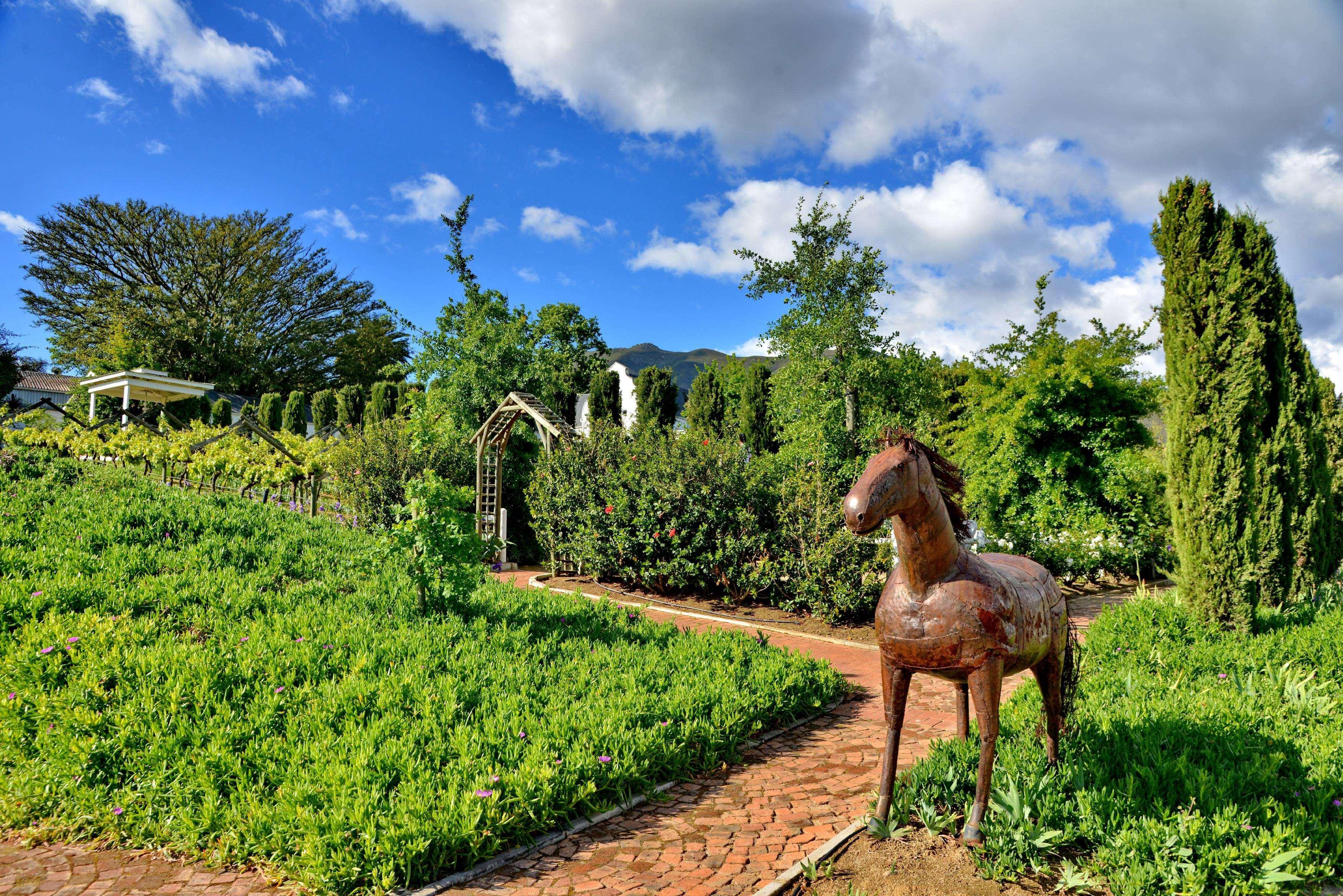 Отель Val Du Charron Wine & Leisure Estate Веллингтон Экстерьер фото